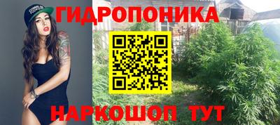 гашик Малоярославец