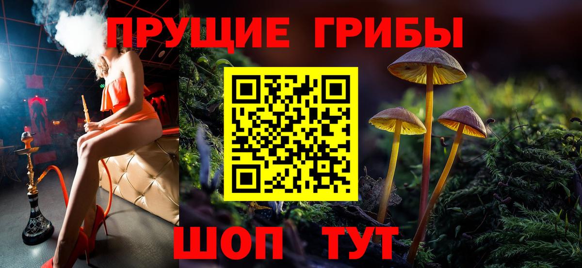 Псилоцибиновые грибы GOLDEN TEACHER  Вход с VPN  Чита 